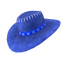 BR Blue Cowboy Hat.png