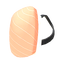 BR Salmon Sushi Backpack.png